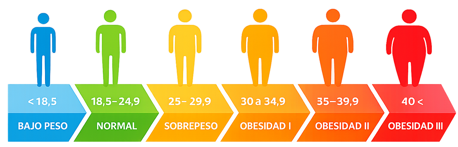 Información Dr. Anchante